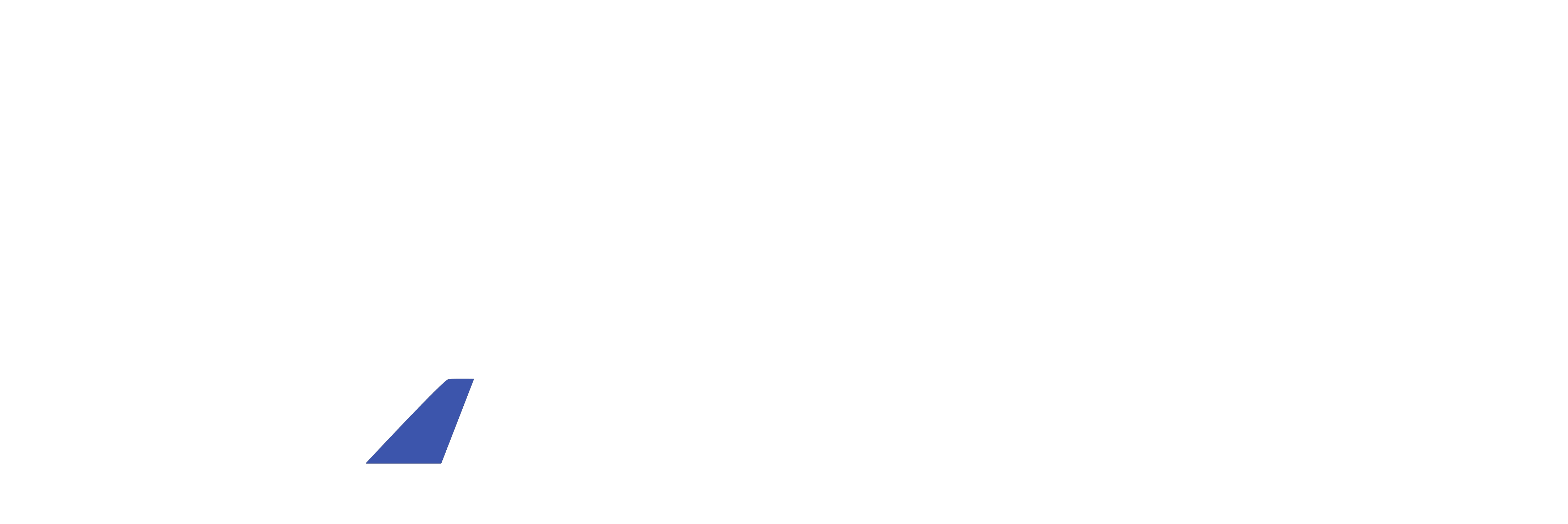 IVAO Official Partner